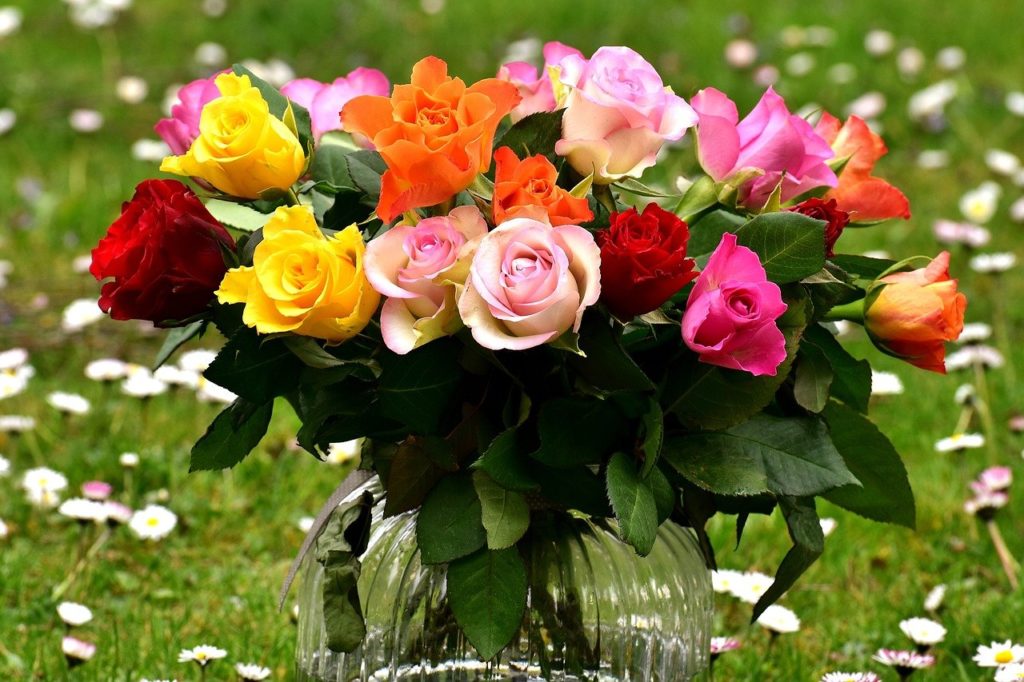 roses, bouquet, flowers